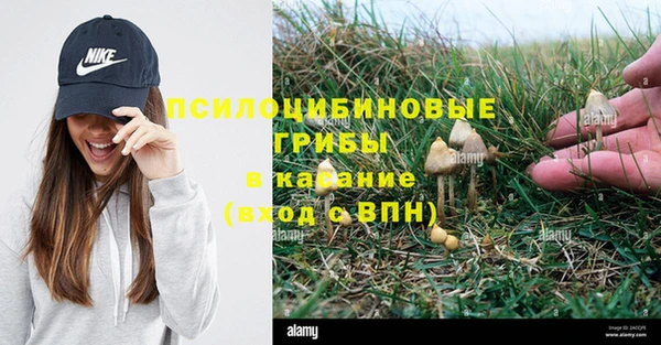 не бодяженный Переславль-Залесский