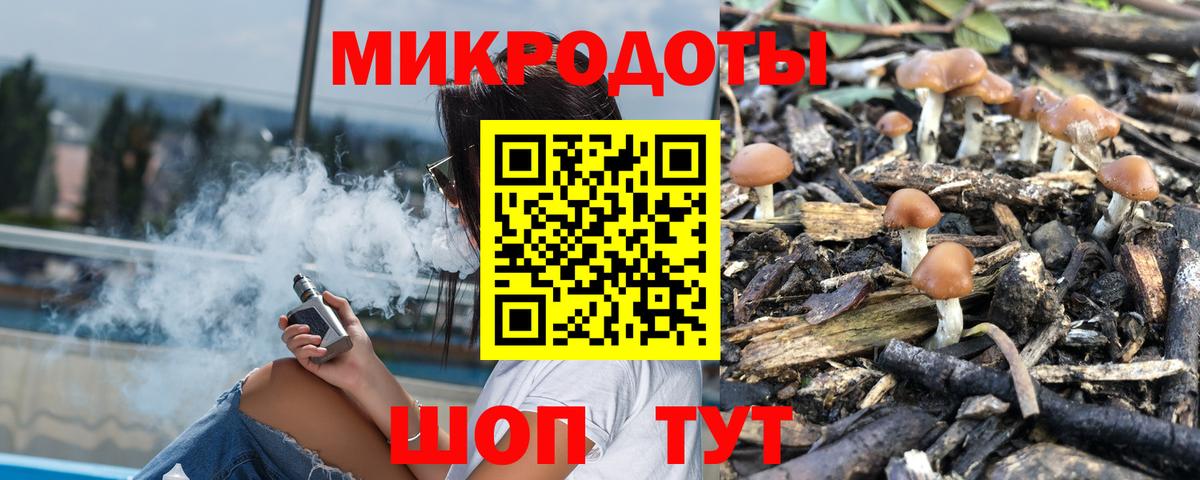Псилоцибиновые грибы Psilocybe  хочу   Вход с VPN  Вольск  Галлюциногенные грибы Cubensis 