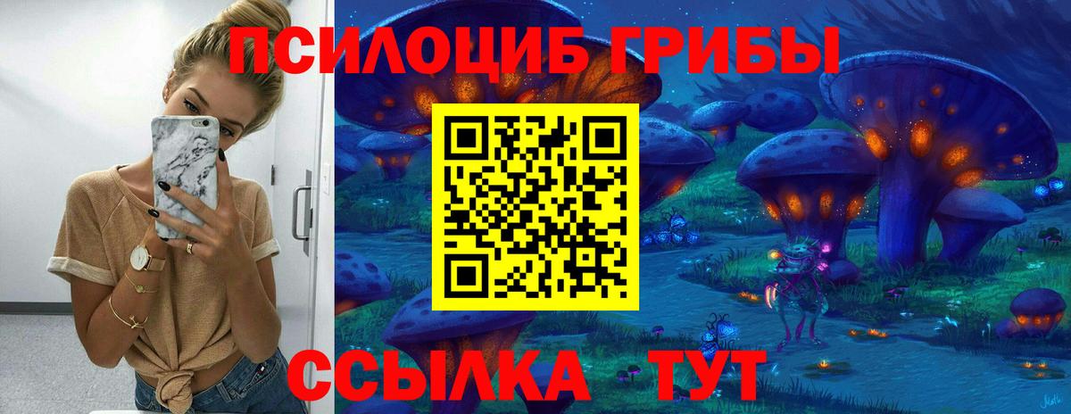 Галлюциногенные грибы Psilocybine cubensis Вольск