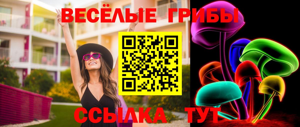 Псилоцибиновые грибы прущие грибы Вольск