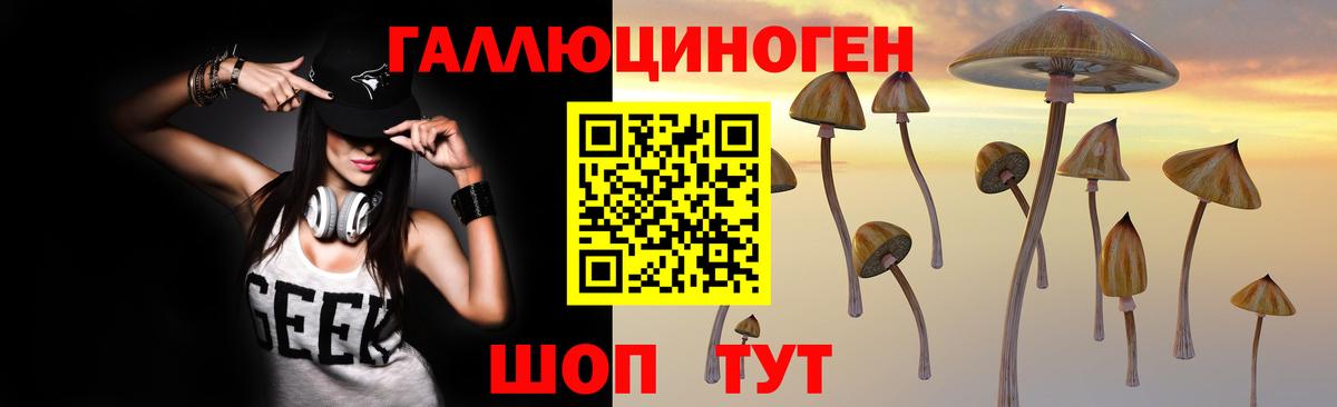 закладки  Галлюциногенные грибы прущие грибы  Вольск  Псилоцибиновые грибы Psilocybe 